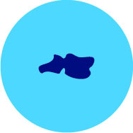 hojeni